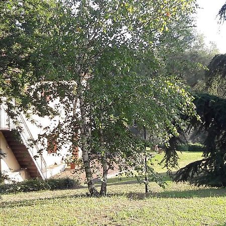 I Fagiani B&B Rimini Kültér fotó